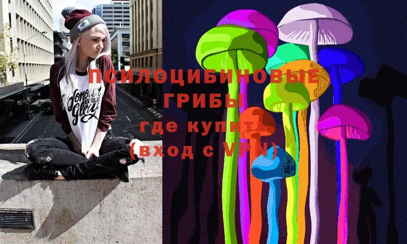 Галлюциногенные грибы Psilocybe  как найти   Новомичуринск 